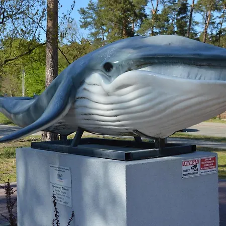 Stegna Apart Stegna (Pomerania)